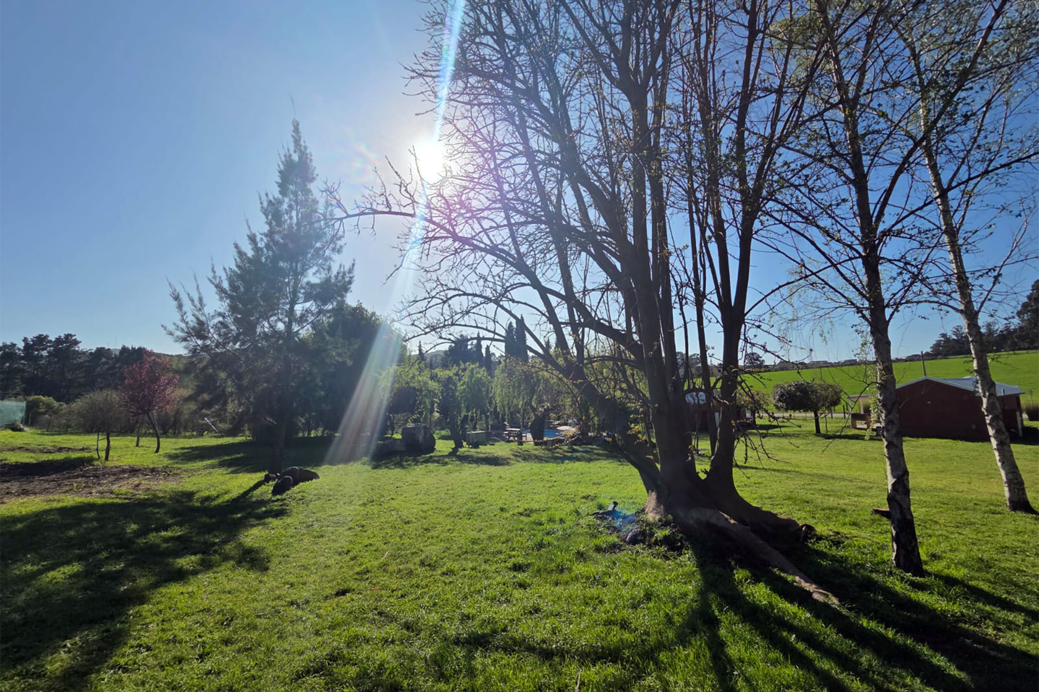 img-carrusel006